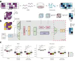 RCANE: A Deep Learning Algorithm for Whole-genome Pan-Cancer Somatic Copy Number Aberration Prediction using RNA-seq Data